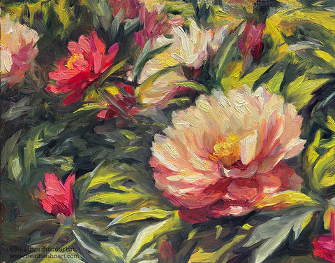 Peony in the Garden - Original Oil Painting