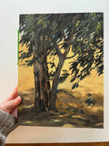 Eucalyptus Breeze - Original Oil Painting